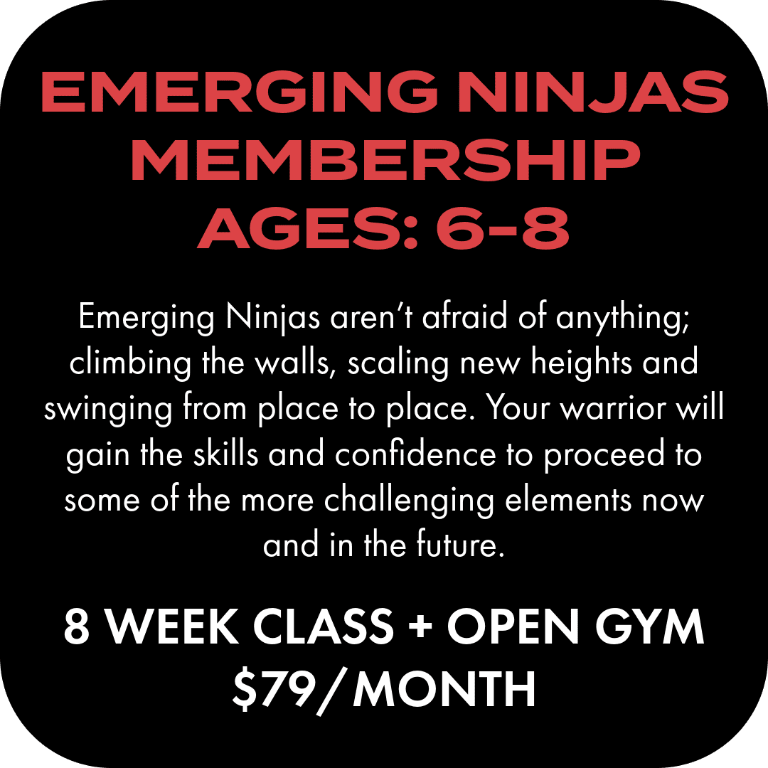 B21 EMERGING NINJA Class Slides 7