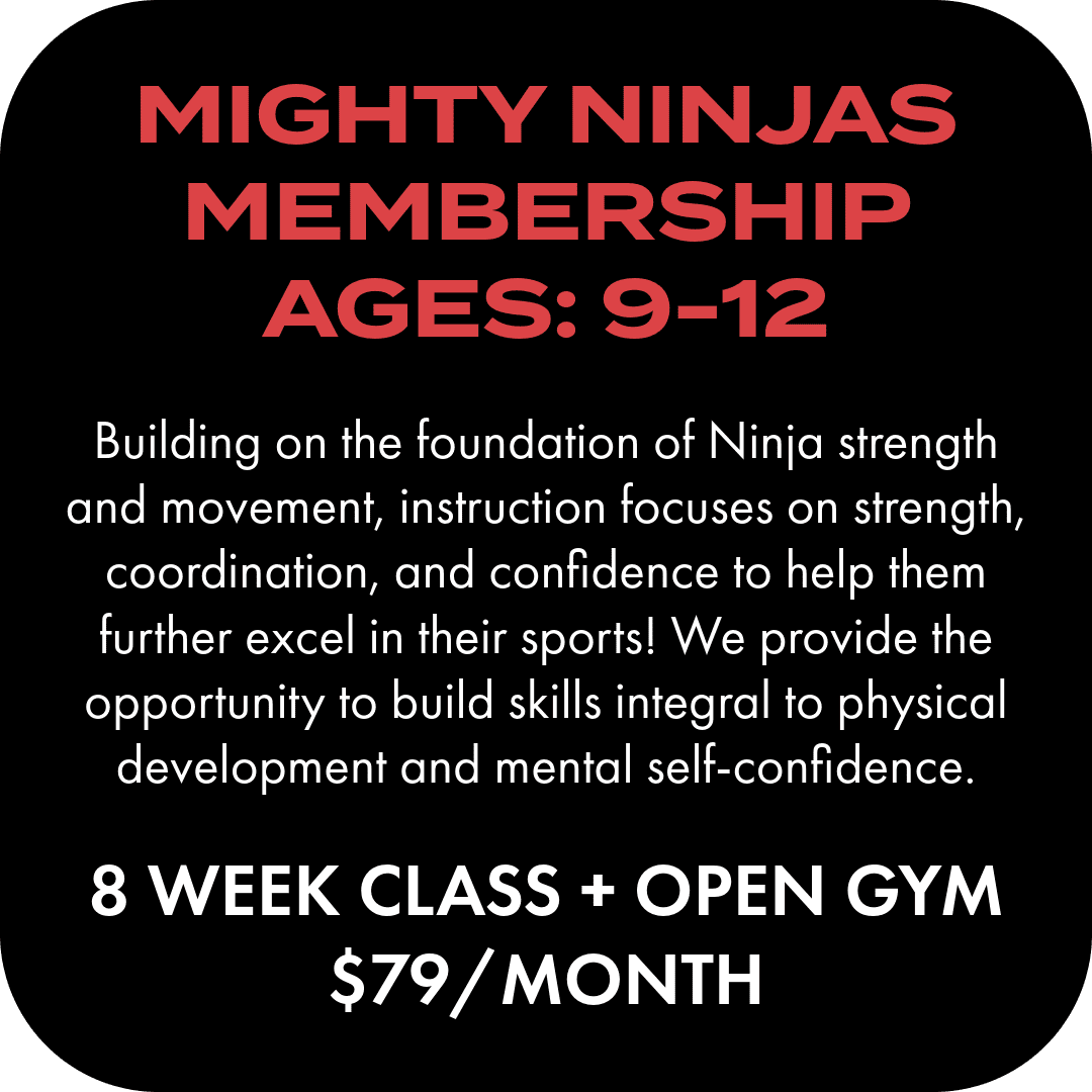 B21 MIGHTY NINJA Class Slides 5