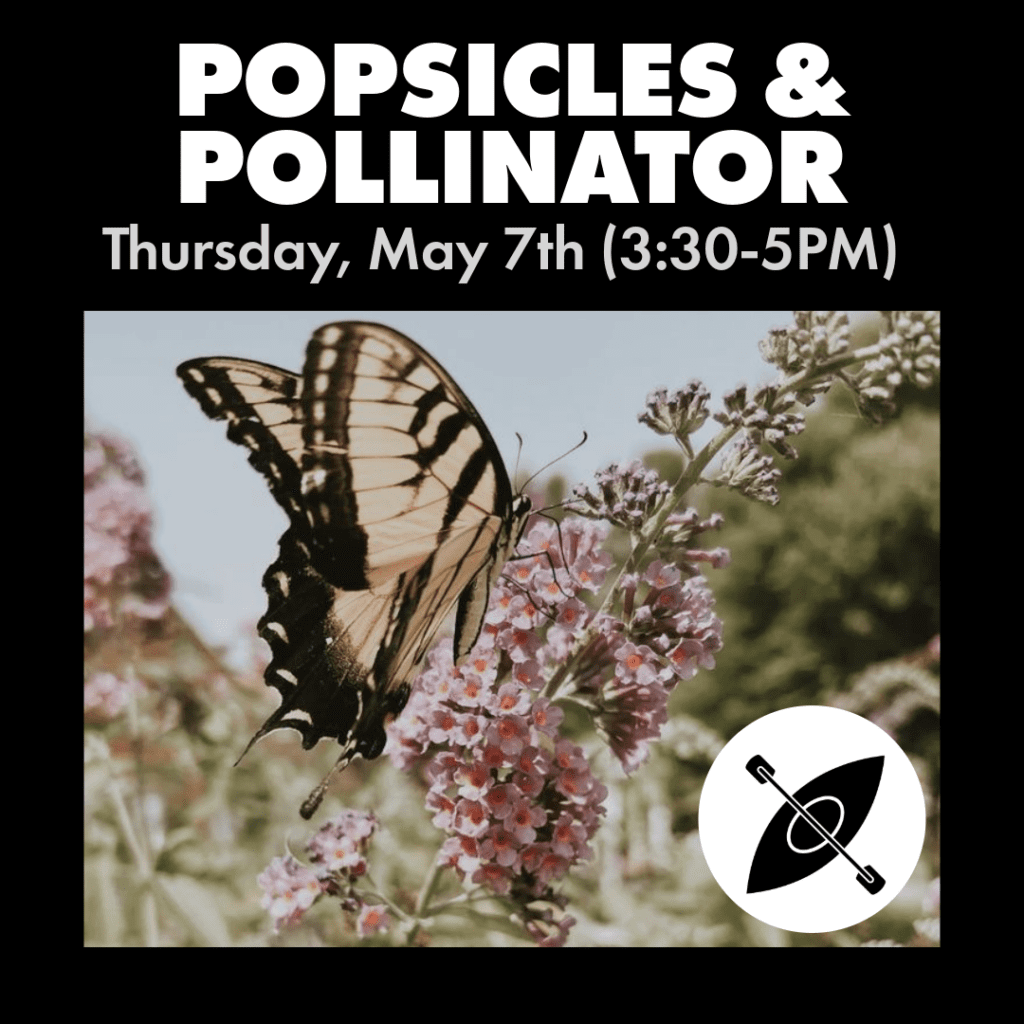 Popsicles And Pollinator
